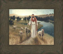 Load image into Gallery viewer, The Rescue