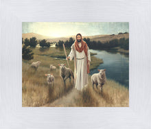 Load image into Gallery viewer, The Rescue
