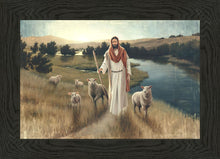 Load image into Gallery viewer, The Rescue