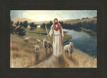 Load image into Gallery viewer, The Rescue