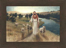 Load image into Gallery viewer, The Rescue