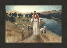 Load image into Gallery viewer, The Rescue