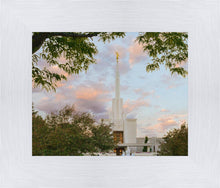 Load image into Gallery viewer, Denver Temple 01