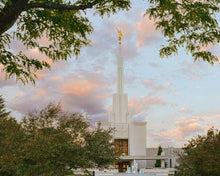 Load image into Gallery viewer, Denver Temple 01
