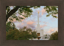 Load image into Gallery viewer, Denver Temple 01