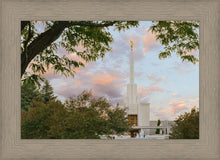Load image into Gallery viewer, Denver Temple 01