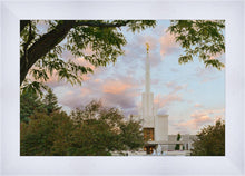 Load image into Gallery viewer, Denver Temple 01