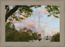 Load image into Gallery viewer, Denver Temple 01