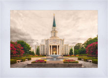 Load image into Gallery viewer, Houston Everlasting