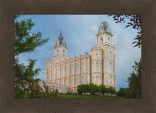 Load image into Gallery viewer, Manti 02