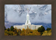 Load image into Gallery viewer, Mt. Timpanogos Hillside