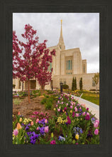 Load image into Gallery viewer, Ogden Tulips