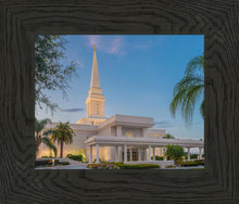 Load image into Gallery viewer, Orlando 02
