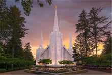 Load image into Gallery viewer, Peace be Still Portland