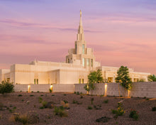 Load image into Gallery viewer, Phoenix Temple Dusk