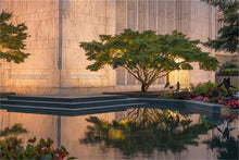 Load image into Gallery viewer, Portland Peaceful Gardens