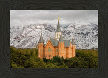 Load image into Gallery viewer, Provo Lifting Storm