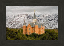 Load image into Gallery viewer, Provo Lifting Storm