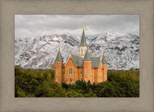 Load image into Gallery viewer, Provo Lifting Storm