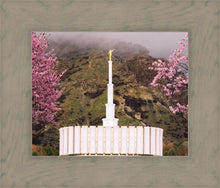 Load image into Gallery viewer, Provo Oncoming Storm