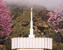 Load image into Gallery viewer, Provo Oncoming Storm