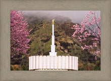 Load image into Gallery viewer, Provo Oncoming Storm