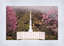 Load image into Gallery viewer, Provo Oncoming Storm
