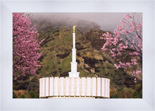 Load image into Gallery viewer, Provo Oncoming Storm