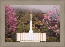 Load image into Gallery viewer, Provo Oncoming Storm