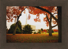 Load image into Gallery viewer, Provo Sanctuary