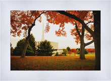 Load image into Gallery viewer, Provo Sanctuary