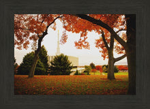 Load image into Gallery viewer, Provo Sanctuary