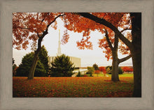 Load image into Gallery viewer, Provo Sanctuary