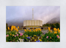 Load image into Gallery viewer, Provo Spring Tulips