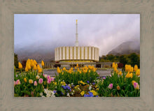 Load image into Gallery viewer, Provo Spring Tulips