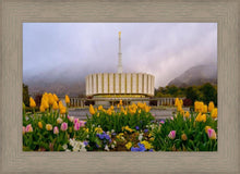 Load image into Gallery viewer, Provo Spring Tulips