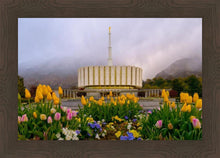 Load image into Gallery viewer, Provo Spring Tulips