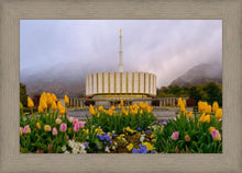 Load image into Gallery viewer, Provo Spring Tulips