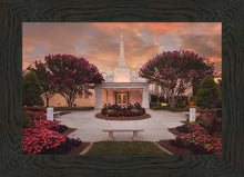 Load image into Gallery viewer, Raleigh Splendor