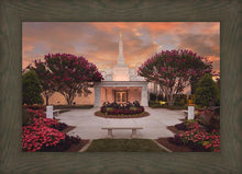 Load image into Gallery viewer, Raleigh Splendor