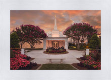 Load image into Gallery viewer, Raleigh Splendor