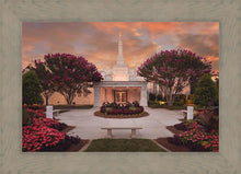 Load image into Gallery viewer, Raleigh Splendor