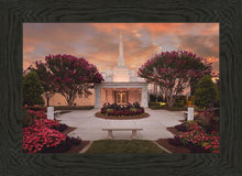 Load image into Gallery viewer, Raleigh Splendor