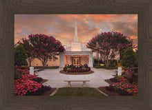 Load image into Gallery viewer, Raleigh Splendor