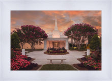 Load image into Gallery viewer, Raleigh Splendor
