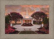 Load image into Gallery viewer, Raleigh Splendor