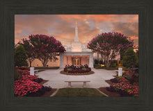 Load image into Gallery viewer, Raleigh Splendor