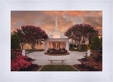 Load image into Gallery viewer, Raleigh Splendor