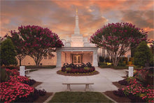 Load image into Gallery viewer, Raleigh Splendor