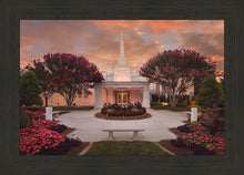Load image into Gallery viewer, Raleigh Splendor